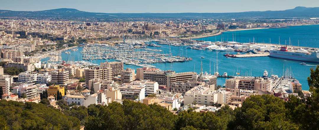 Four top things to do in Palma in winter